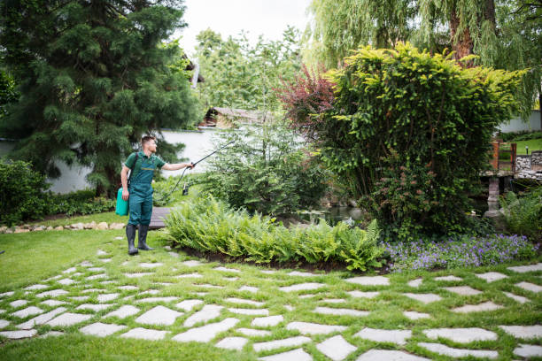 Reliable San Antonio, FL Tree Services Solutions