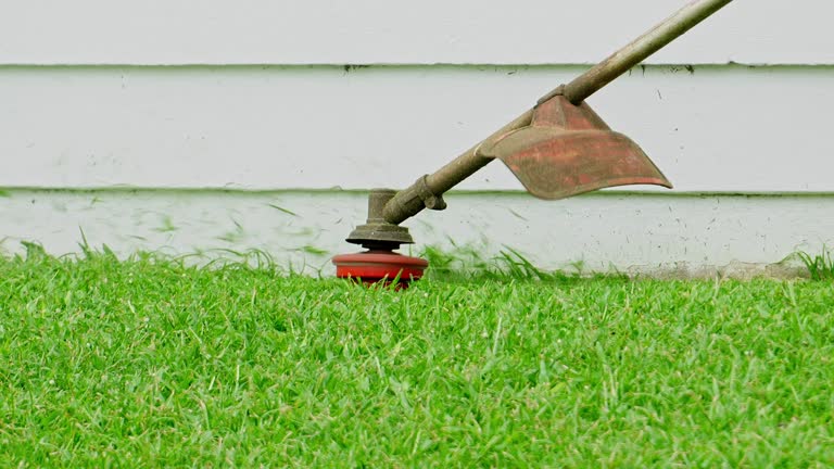 Landscape Design and Installation in San Antonio, FL